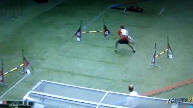 ЧМ 09 Ларюшин личное аджилити медиум смотреть онлайн