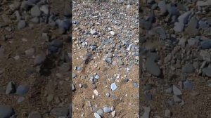 Байкал. Берег возле села Бугульдейка. ⛴ #байкал