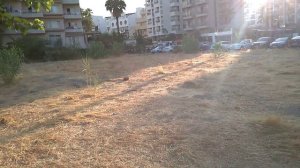 дорога от пляжа к отелю Lalila Blue 5* Мармарис road  beach to the hotel Lalila Blue 5 * Marmaris