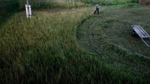 Косьба или как косить косой литовкой