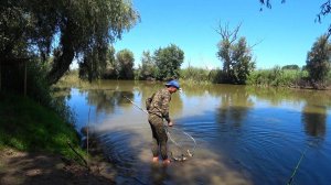 РЕАЛЬНЫЙ КЛЁВ В ЖАРУ +50°С. РЫБАЛКА В ДЕЛЬТЕ ВОЛГИ. Ловля сазана на макуху, макушатник, жмых.