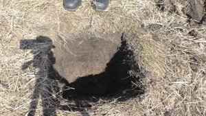 Тест на глубину Тёрка 705 с регулировкой Отстройки от помех. Ну, и конечно, покопаем!