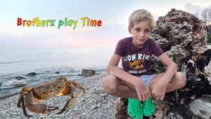 Отдых на Чёрном Море 🌞 / Подводный мир 🌊 / Черноморский Краб 🦀