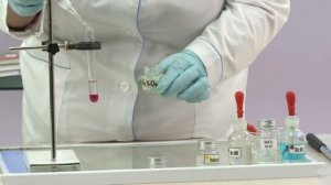 Химия. 9 класс. Изучение химических свойств разбавленной серной кислоты и ее солей /03.02.2021/