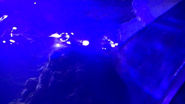 Московский Океанариум  Рыбки   (29) смотреть онлайн