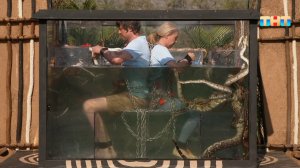Прохор Шаляпин попал в аквариум со змеями