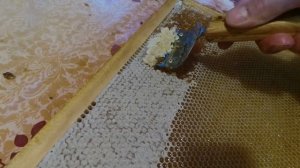 Сбор меда. Омск. Июль 2019. Лечебный яд пчел. Сладкий отпуск