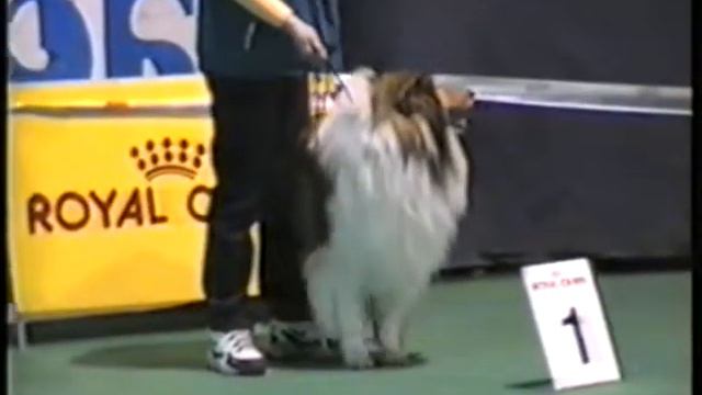 Азия 2000 год. г. Барнаул смотреть онлайн