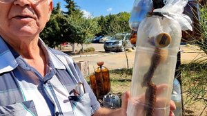 Бутылочное пчеловодство. Михаил Васильевич Смолянский. 1ч.