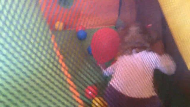 Элли играет с клоуном в Гурмании смотреть онлайн