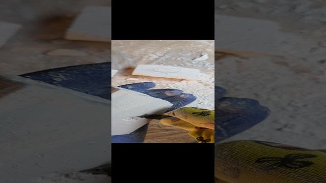 Чистка.Мел Рафаэлло.?