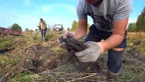 НАШЛИ СВАЛКУ.СХРОН МЕТАЛЛА УАЗ ХАНТЕР НЕ ЗАВОДТСЯ КАК ВСЁ НАЧИНАЛОСЬ ПОИСК МЕТАЛЛОЛОМА 13СЕРИЯ