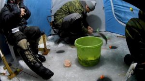 Рыбалка на реке Майха ловля наваги  Зимняя рыбалка в Приморье 2019