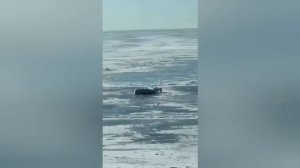 Приколы 2024 Лучшее ,18+