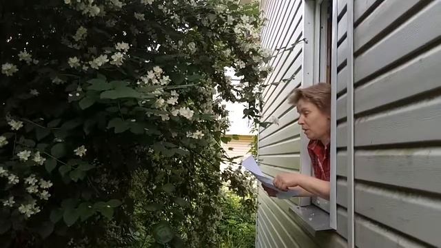 Детские стихи: Пока цветёт жасмин в окне смотреть онлайн