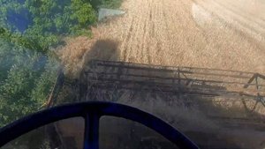 Налаштування комбайна НИВА СК 5 на пшеницю . Врожайність просто плачевна .