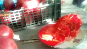 помидор сорт Королева всех розовых