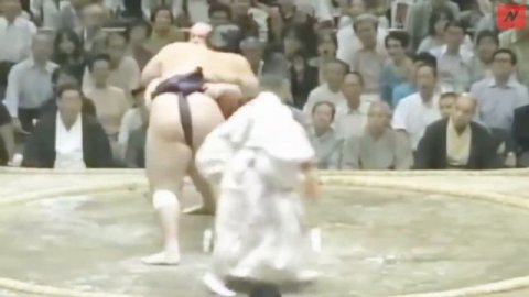 Таканояма борец сумо из Чехии #сумо
