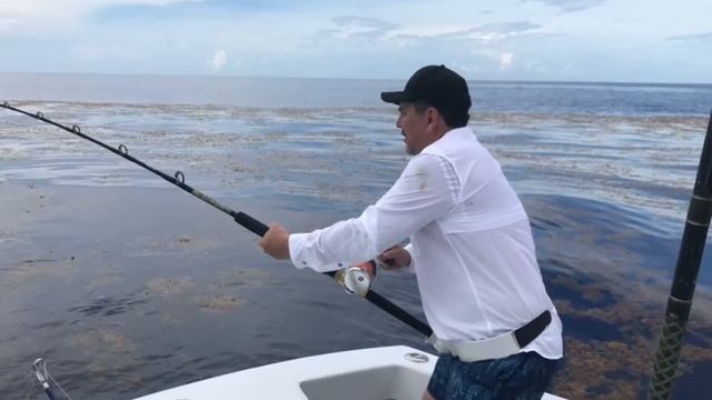 Рыбалка в Атлантическом Океане. смотреть онлайн