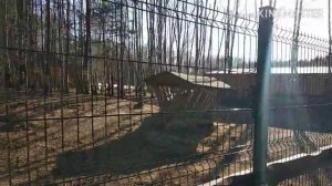 ОТЗЫВ о Парк-отель "ФЕСТИВАЛЬ".