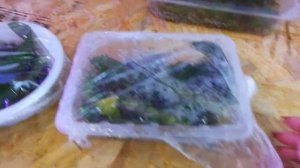 Размножение дендрофаленопсиса и дендробиума нобиле. Месяц в тепличке на мхе.