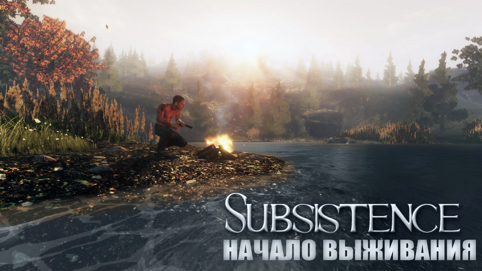 Subsistence как играть по сети на пиратке без стима фото 1