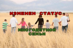 Уточнили понятие статуса «многодетная семья»