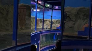 Обзор музея океанариум в Санкт-Петербурге/Музеи Питер