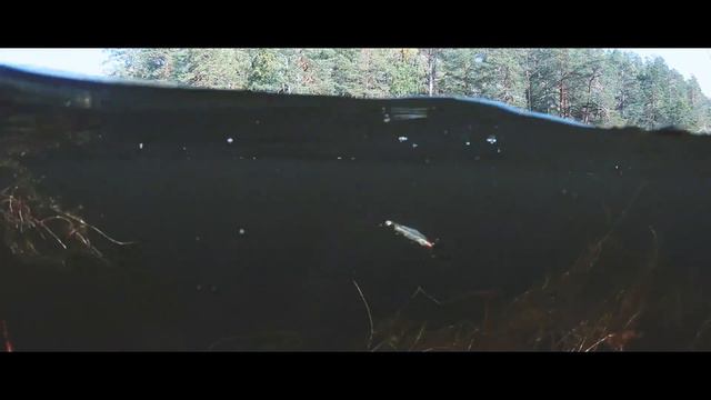 Воблеры RAPALA. Официальный дистрибьютор в Украине - компания YENTO Fishing смотреть онлайн