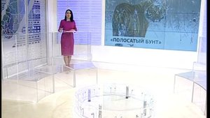 Стали известны подробности нападения тигра на охотника