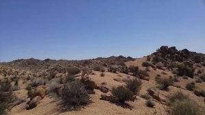 Joshua Tree National Park 2