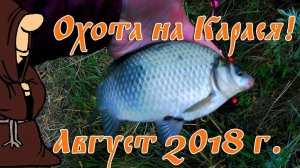 Ловля карася с донками на реке в Августе, есть крупные экземпляры, летняя рыбалка на карася
