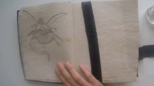 ГРОМОБОЙ - МОЯ КНИГА ДРАКОНОВ