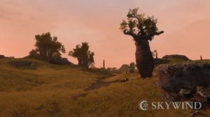 Skywind - Creation Mod Con 2022 - Intermission Footage