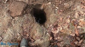 ТЕСТ НА ГЛУБИНУ GARRETT ATX. ПЯТЬ КОПЕЕК ЕКАТЕРИНЫ 2.