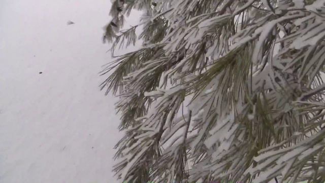 Россия. Саратовская область. 16.01.2015 г. ПВПО "Александр Невский". смотреть онлайн