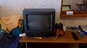 Пансионат "Дельфин"