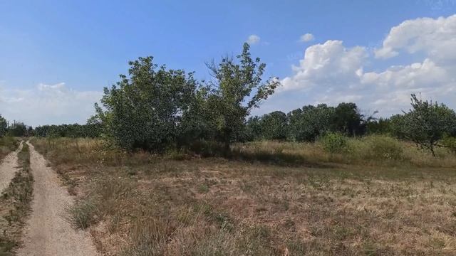 3 сентября народный праздник ДЕНЬ СВЯТОЙ ВАСИЛИСЫ. народные приметы и поверья