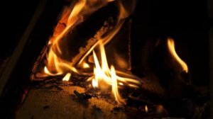 Живой Огонь. Костер. Звуки ночного леса у костра.