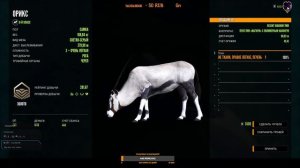 theHunter: Call of the Wild. Саванна Вурхонга. Часть 12