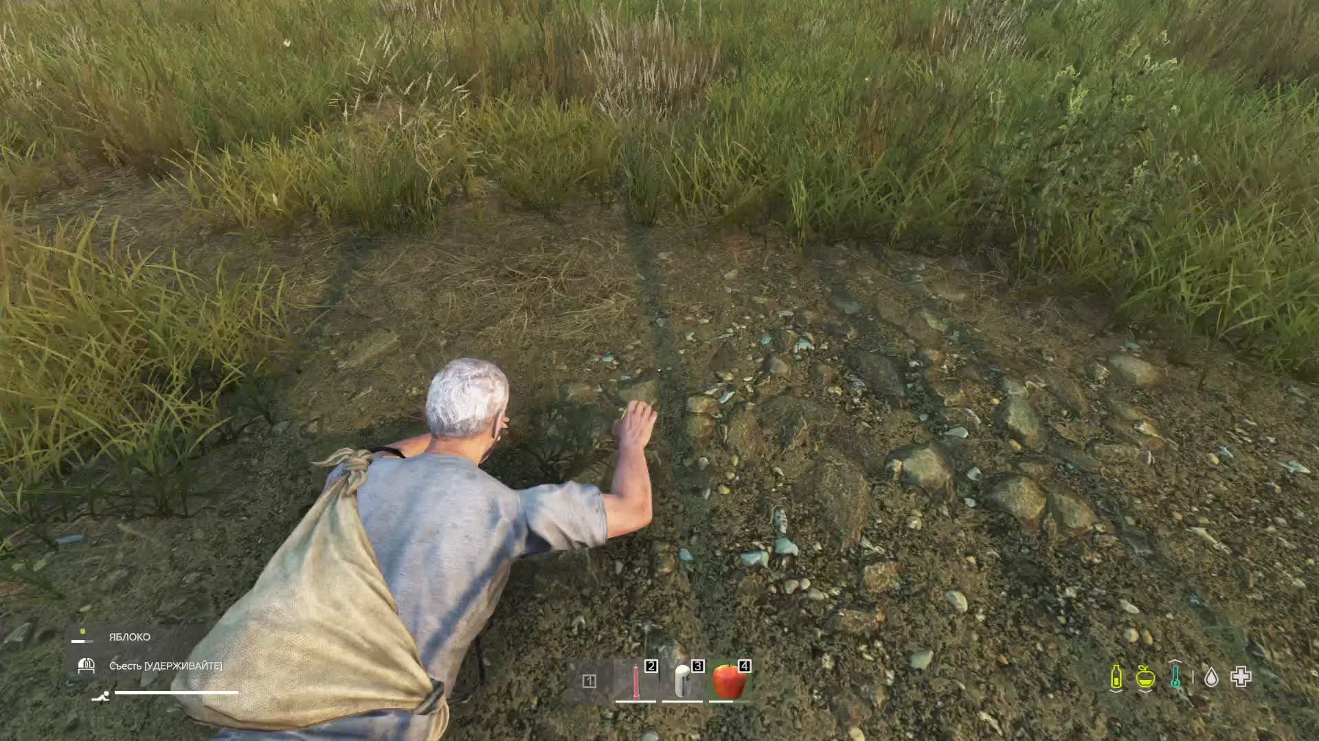 Dayz