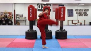 KARATE Lesson 13 - KARATE COMBO 5