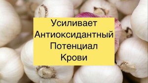 Чем Полезен Чеснок?