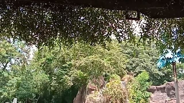 Tour in Bali Safari and Marine Park смотреть онлайн