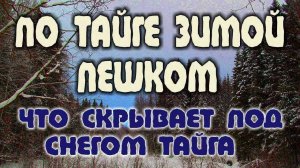 ТАЙГА ЗИМОЙ. ПЕРЕДВИЖЕНИЕ В ЗИМНЕЙ ТАЙГЕ ПО СНЕГУ. ПО ТАЙГЕ ПЕШКОМ.