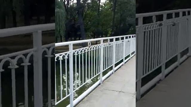 Катание на катамаране. ZAPOROZHYE.SUNRISEPORT. Веселая прогулка папы, Дианы и Сони на катамаране!