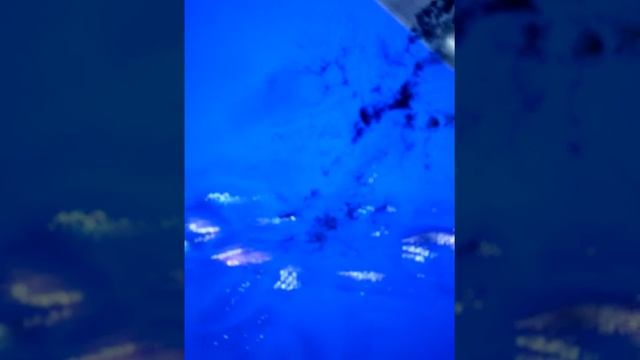 Устранение черных пятен на телевизоре ЖК смотреть онлайн