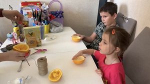 Кормушка для птичек своими руками из апельсина