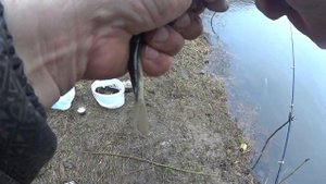 Рыбалка на ельца  На Мане  Хороший клев  Рыбачу на донку Часть 1