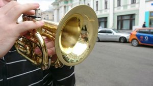Pira-mida production - Белые розы 🎺 (Ласковый май Cover на трубе)🎺